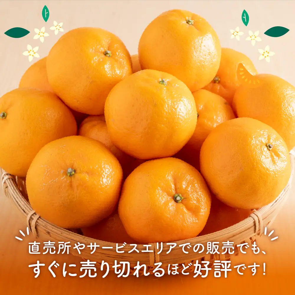 【1168-2】みかんの産地和歌山の農園直送北村農園の天田みかん7.5kg