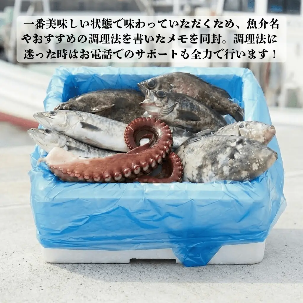三陸の鮮魚セット 1人~2人用 冷蔵