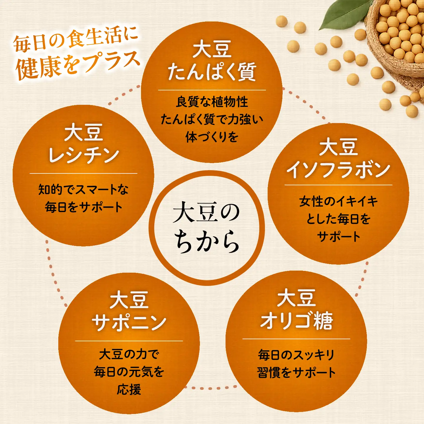 ソイプードル150g×3袋 大豆 SOY 粉末 熊本県産 【株式会社 れんげ・カンパニー】[ZAX004]