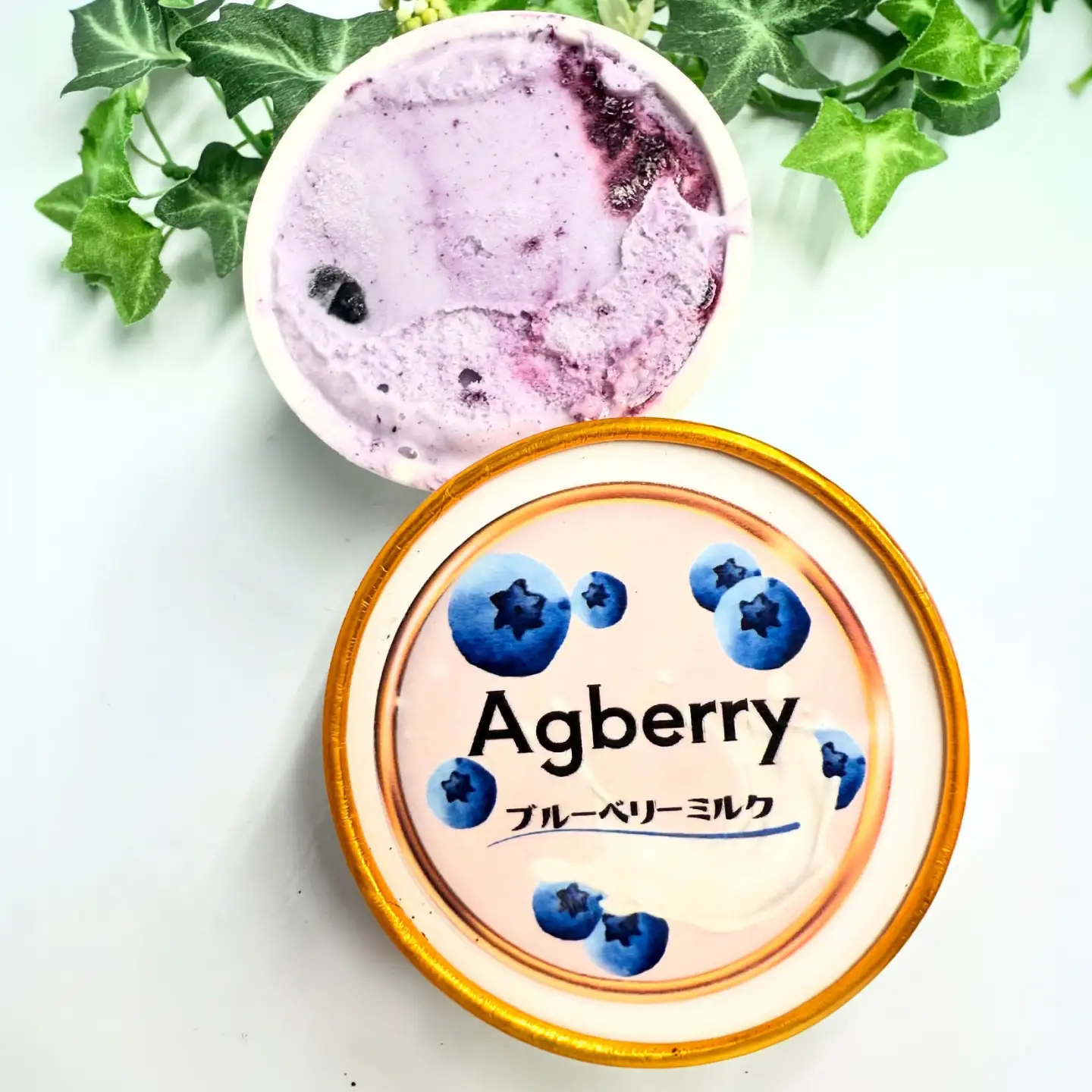 冷凍ブルーベリーアイス(ブルーベリーミルク、マーブル 各5個) 計10個セット / アイス あいす 氷菓子 フルーツ ブルーベリー ぶるーべりー マーブル デザート おやつ お菓子 カップ カップアイス 夏 ひんやり 熊本県 冷凍 菊陽町【アグファーム株式会社】[BHCX020]