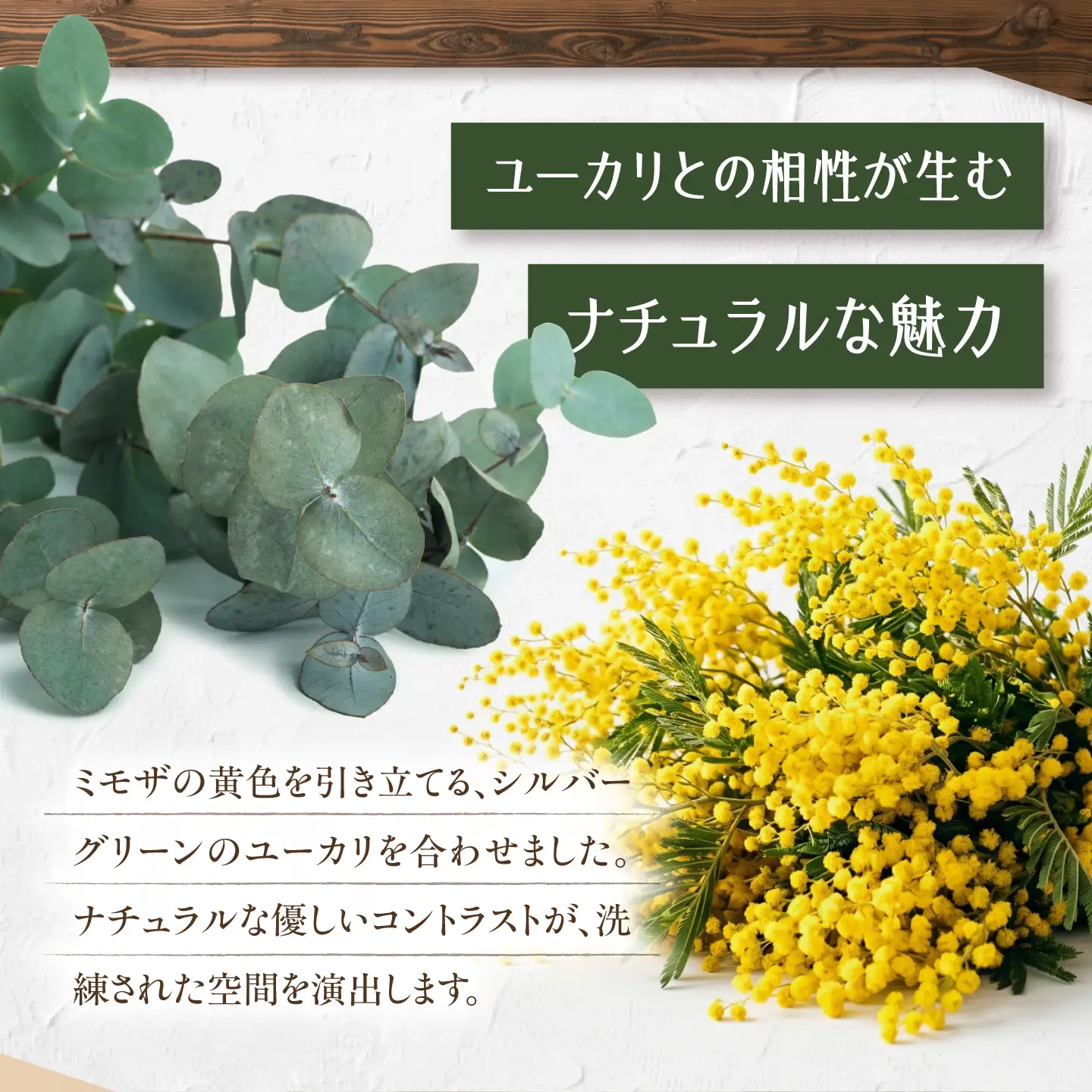 ミモザのアレンジメント / ミモザ ユーカリ  ドライフラワー ブーケ 花束 花飾り インテリア雑貨 大阪府 / 大阪府藤井寺市/Jam Flower Salon[BLAW011]