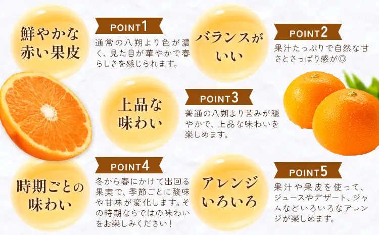  紅はっさく 約3kg 八朔 