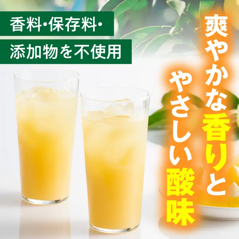 日向夏ストレートジュース100％(1000ml×2本セット) 日向夏 ジュース 柑橘