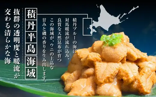 【 特選 】 塩水ウニ 100g （ 北海道産 エゾムラサキウニ ） うに ウニ 雲丹 海鮮 魚介 ウニ丼 うに丼 ミョウバン不使用 海産物 国産 【 2026年6月上旬～9月下旬発送予定 】