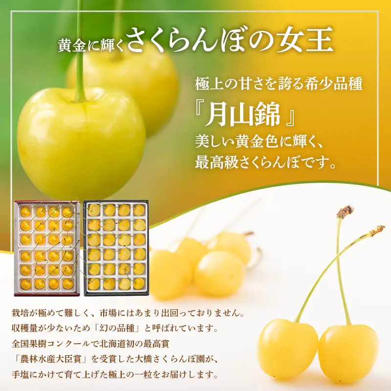冷凍さくらんぼ 24粒 月山錦 冷凍 さくらんぼ