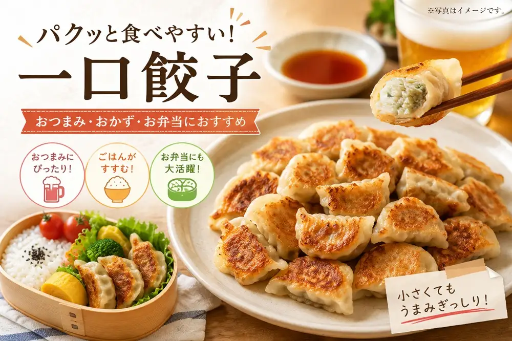 W-0416／桜島美湯豚　ひと口餃子 4P（計60個）