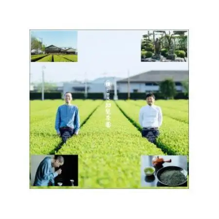 【自宅用】知覧茶園の深むし茶「吟」3本セット【1740741】