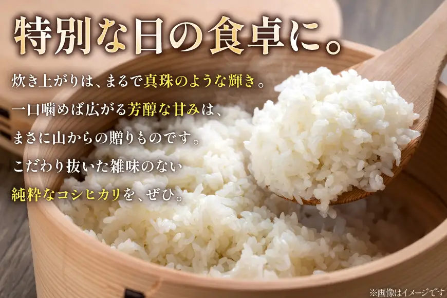 米 コシヒカリ 令和7年産 5kg