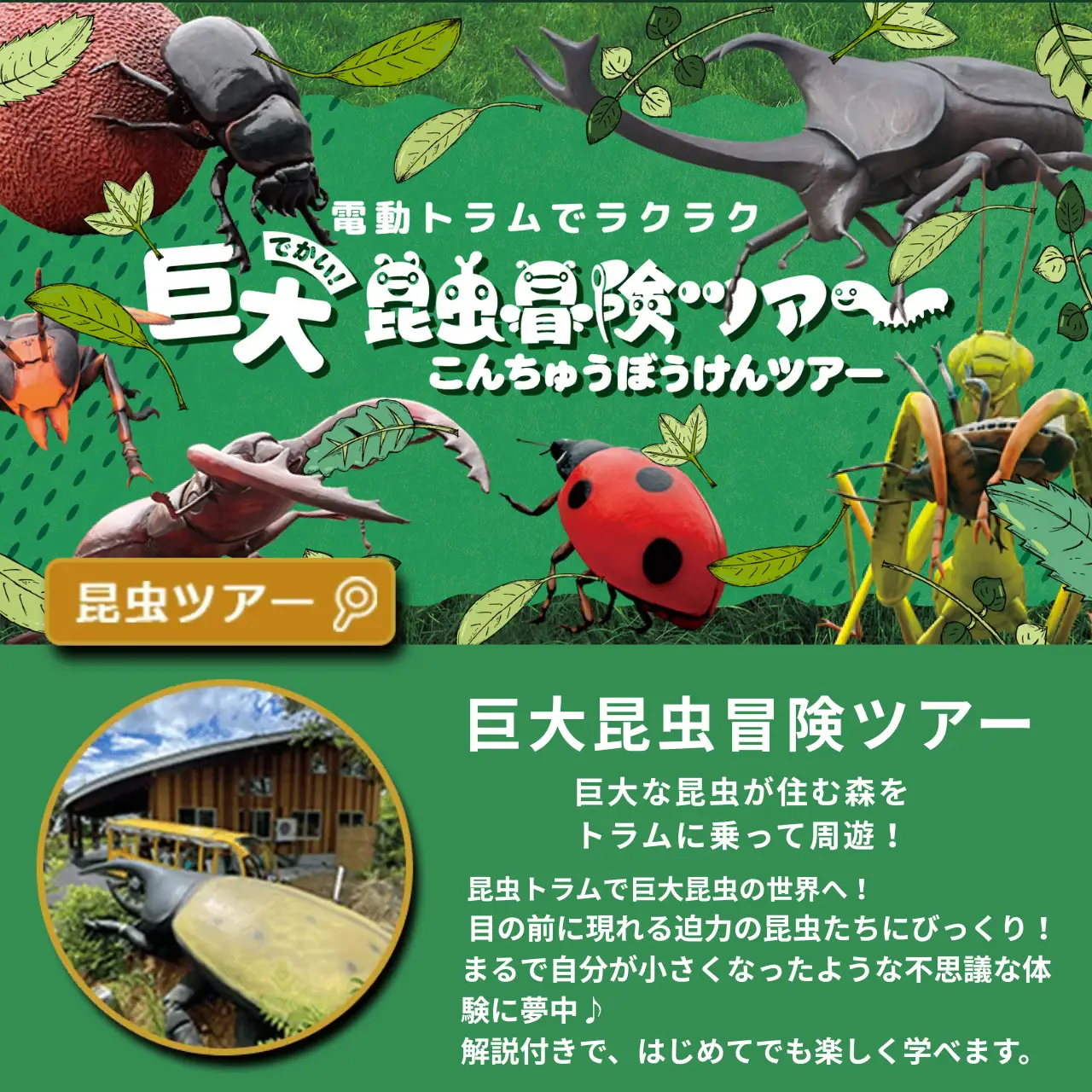 かつやまディノパーク 巨大昆虫冒険ツアー セットチケット 1名様分 [A-088001]