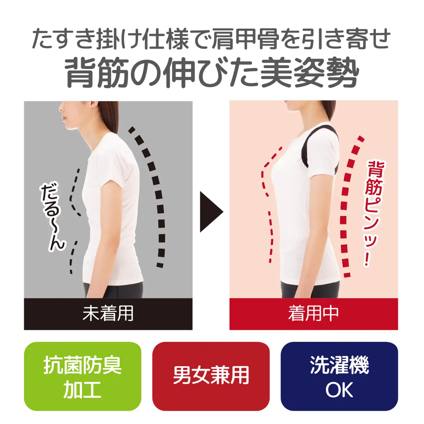 Dr.PRO簡単装着薄型姿勢ベルト ブラック 2枚組 |  姿勢ベルト