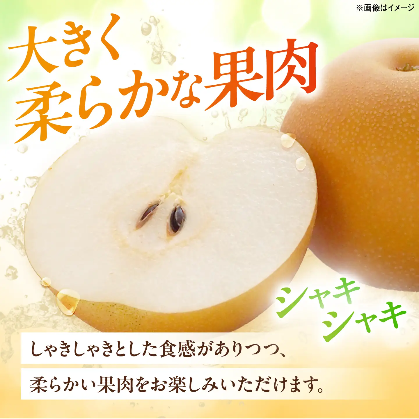 内子町産 梨 あきづき 5-6玉 (9月上旬から9月下旬の間に順次発送)[BKAY035]