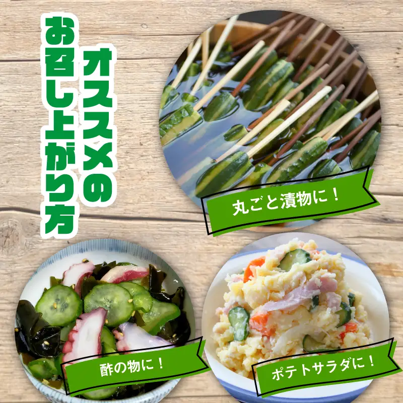 ミニ きゅうり 2kg | 先行予約 きゅうり キュウリ 胡瓜 ミニきゅうり 新鮮 朝収穫 朝採れ 産地直送 野菜 詰合せ 夏野菜 野菜 キュウリ やさい 採れたて 季節 食材 旬 栽培 農家直送 農家応援 滋賀県 日野町 ふるさと納税 送料無料