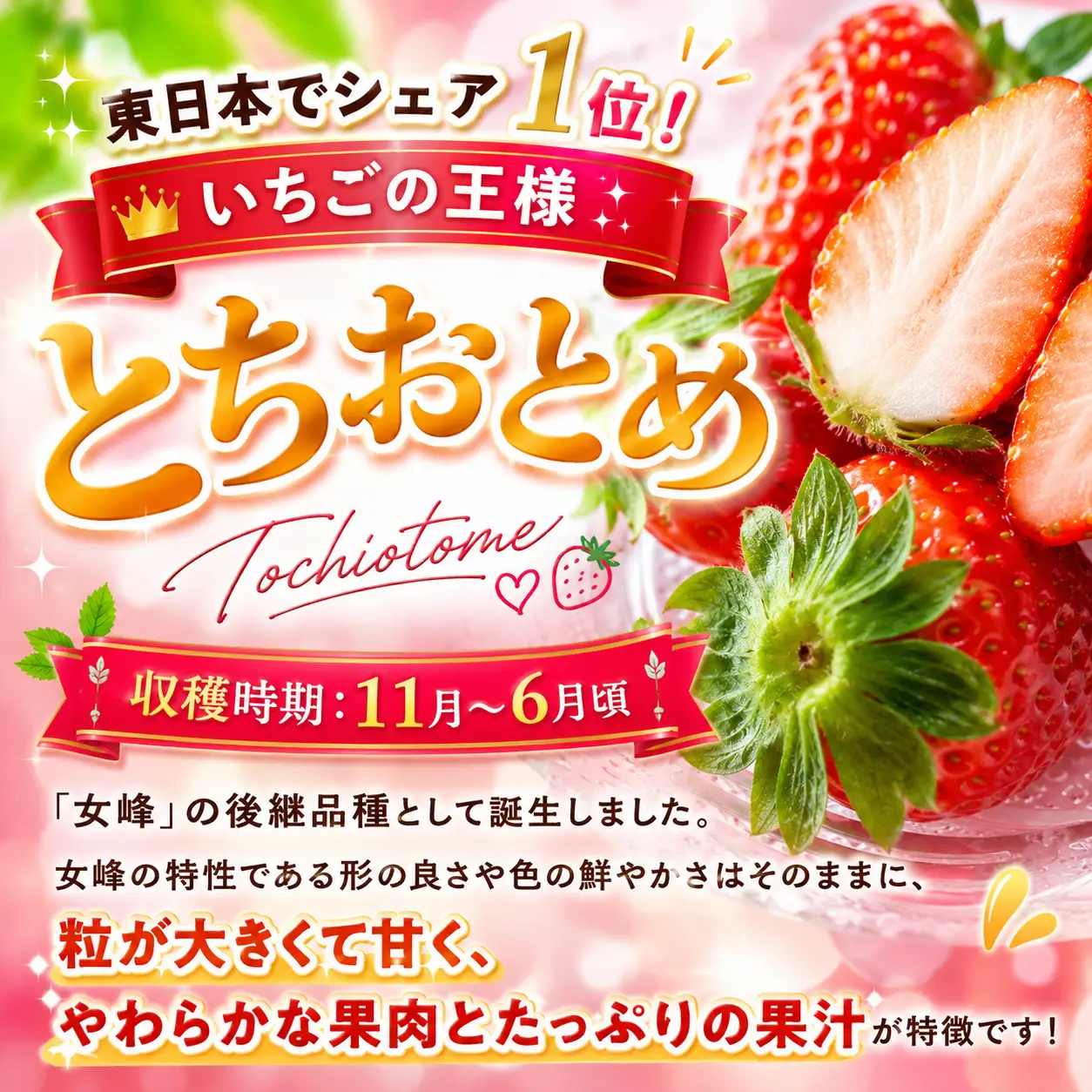 【先行予約】訳あり いちご とちおとめ 約 280g × 4P 栃木県共通返礼品