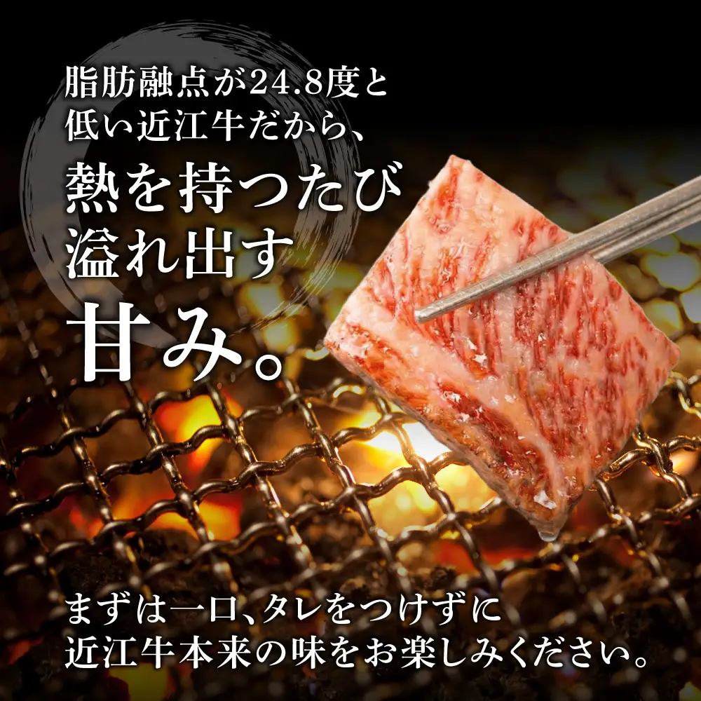 近江牛おかませ焼肉用 390g 株式会社オカキブラザーズフーズ 滋賀県 東近江市 A-E28 近江牛 焼肉 おまかせ 390g A5 A4 モモ バラ 肩ロース 牛肉 和牛 焼き肉