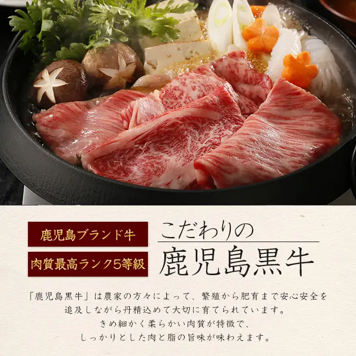 鹿児島黒牛スライスセット 600g 【JA鹿児島いずみ】ja-1632