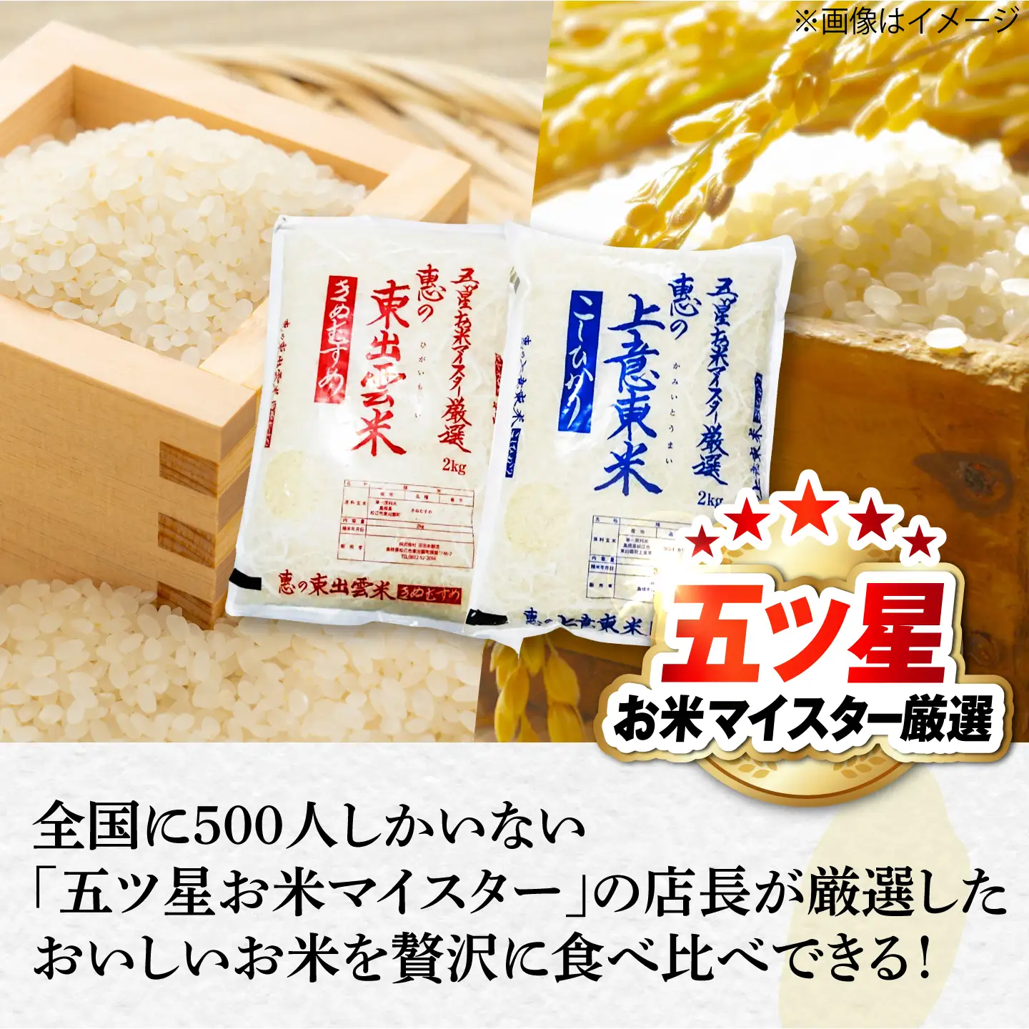 先行予約 令和8年産 全3回定期便 新米2種 食べ比べ！各回4kg / 白米 [ALBU025]