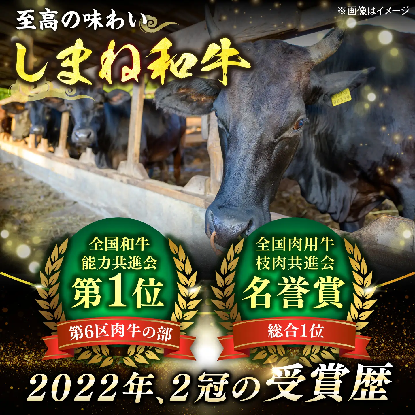 しまね和牛ロース 1.6kg(400g×4パック) 焼肉用 [ALFR011]