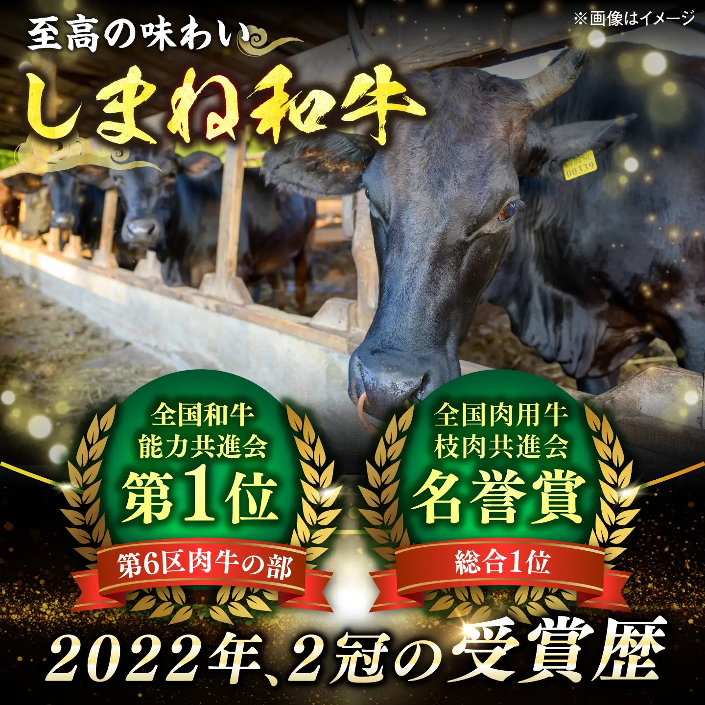 しまね和牛切り落とし 1.2kg(600g×2パック)&nbsp; 島根県松江市/株式会社さんれいフーズ[ALFR021]