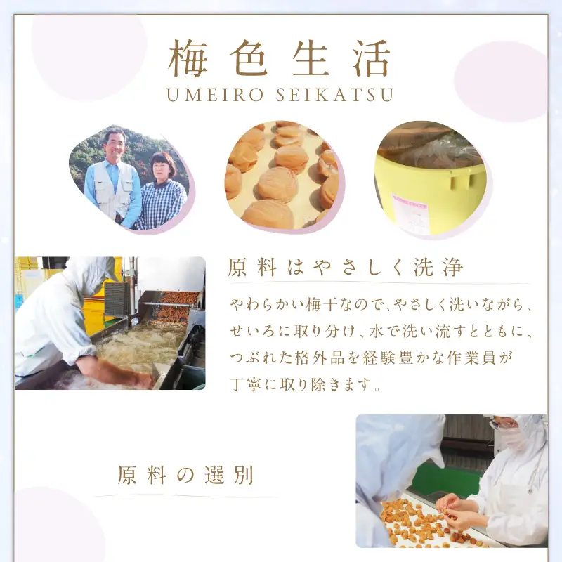【紀州南高梅】はちみつりんご梅干 梅の想い550g【1321】