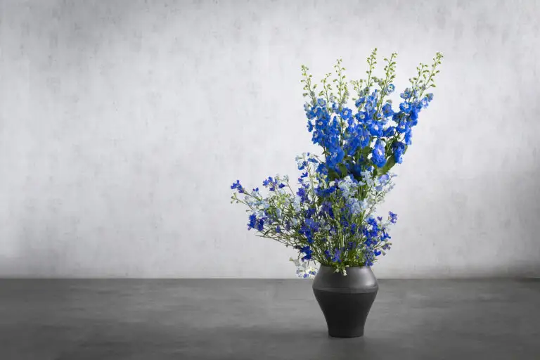 KEREN - 舞輪 (marin) -　