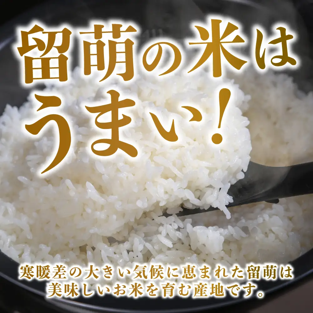 令和7年産 金王冠 JAるもい 精米 ななつぼし 10kg  北海道 留萌 精米 白米 おいしい 特A おにぎり