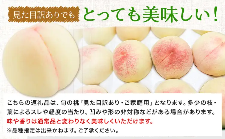 清水白桃 岡山白桃 ご家庭用 定期便 3回 白桃 桃