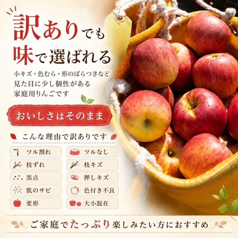 【1月発送】訳ありサンふじ5kg りんご 藤与果樹園 サンふじ fujiyo002s