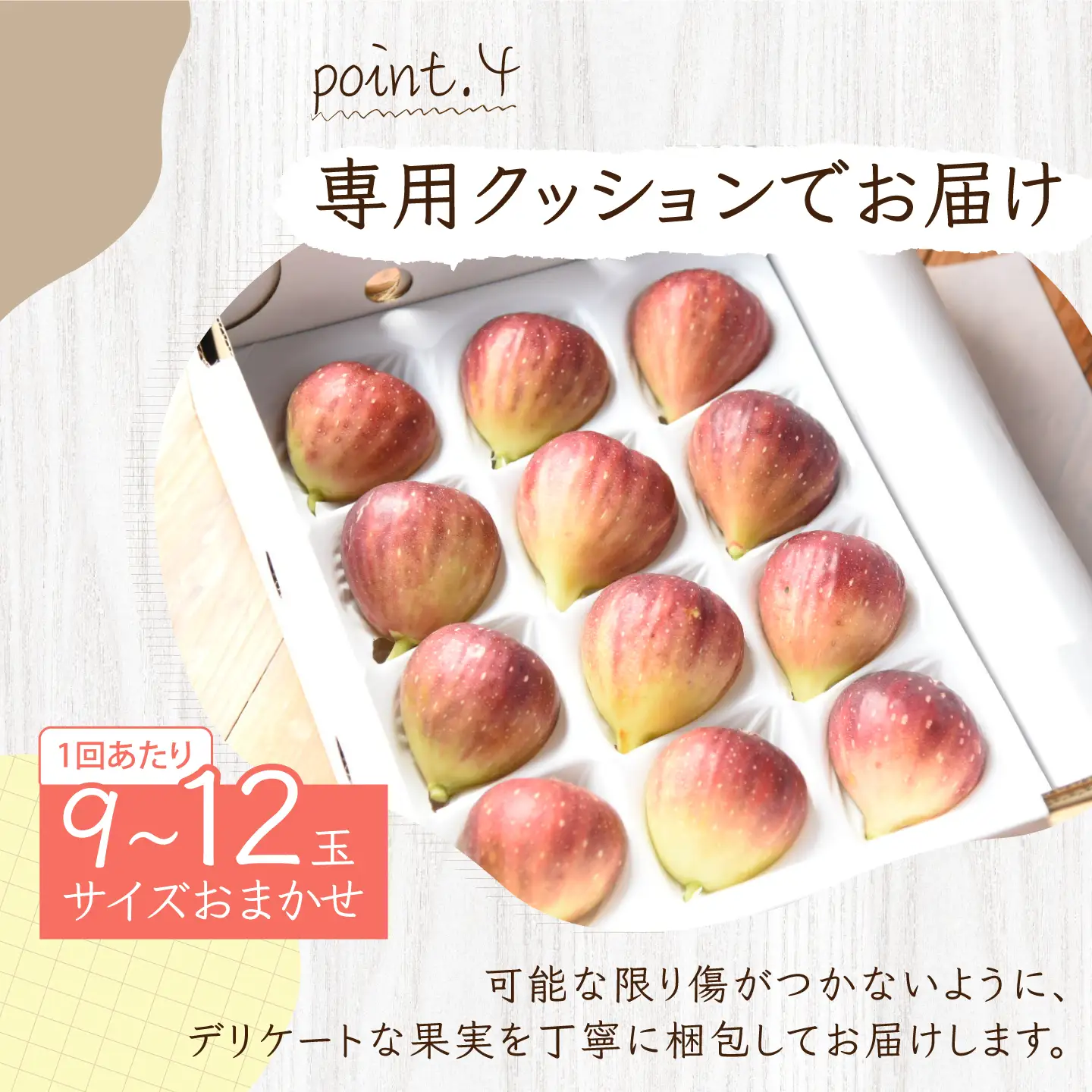 ＼申込期限は8月31日まで／【先行予約】【2回定期便】 完熟いちじく9-12玉（サイズおまかせ） / いちじく イチジク フルーツ 果物 完熟 朝採れ 岐阜市 / tete. 【配送不可地域：北海道・沖縄・離島】[ANJZ002]