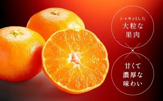 【2027年先行予約】甘平 みかん 愛媛 約3kg M～3Lサイズ混合 数量限定 先行予約 柑橘 伊予市【2月上旬から順次発送予定】｜B553