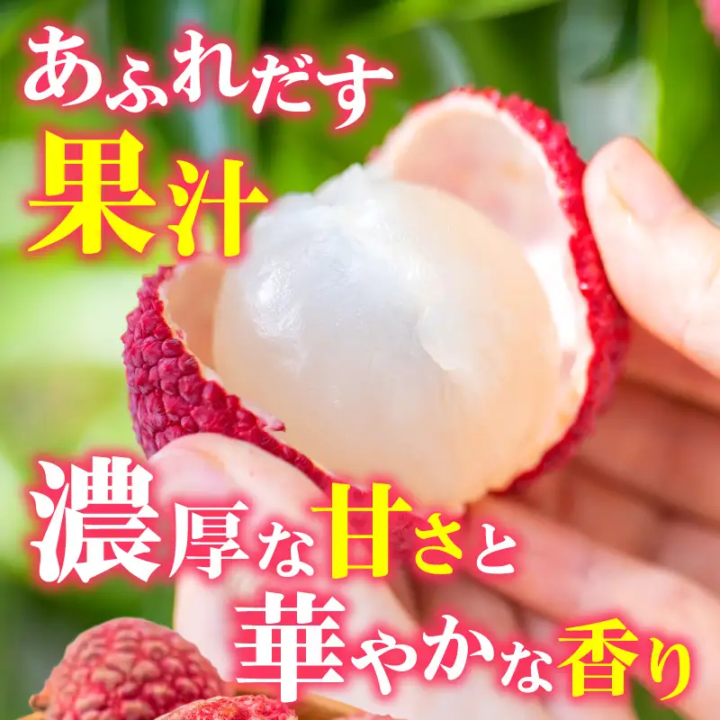 ライチ 9玉 ライチ [2026年発送 先行予約 宮崎市産 生ライチ 1玉40g以上]