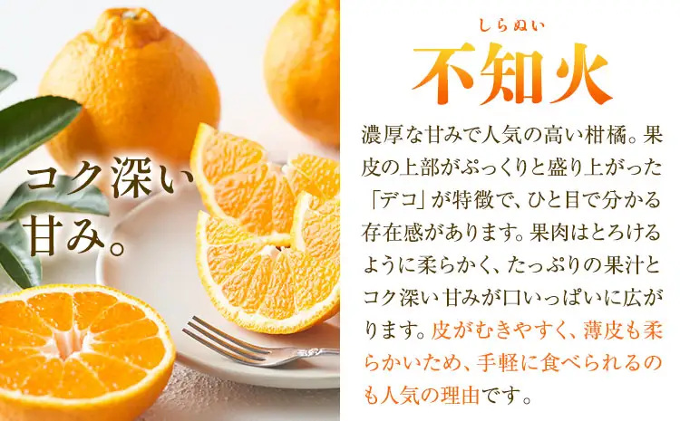秀品 不知火 ( デコポン ) と同品種 約2kg しらぬい