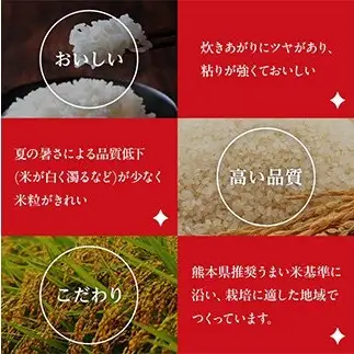 FK7-0275_【6カ月定期】【嘉島町産】くまさんの輝き 10kg 米 お米 コメ ごはん ご飯 食品 九州 熊本県 熊本 嘉島
