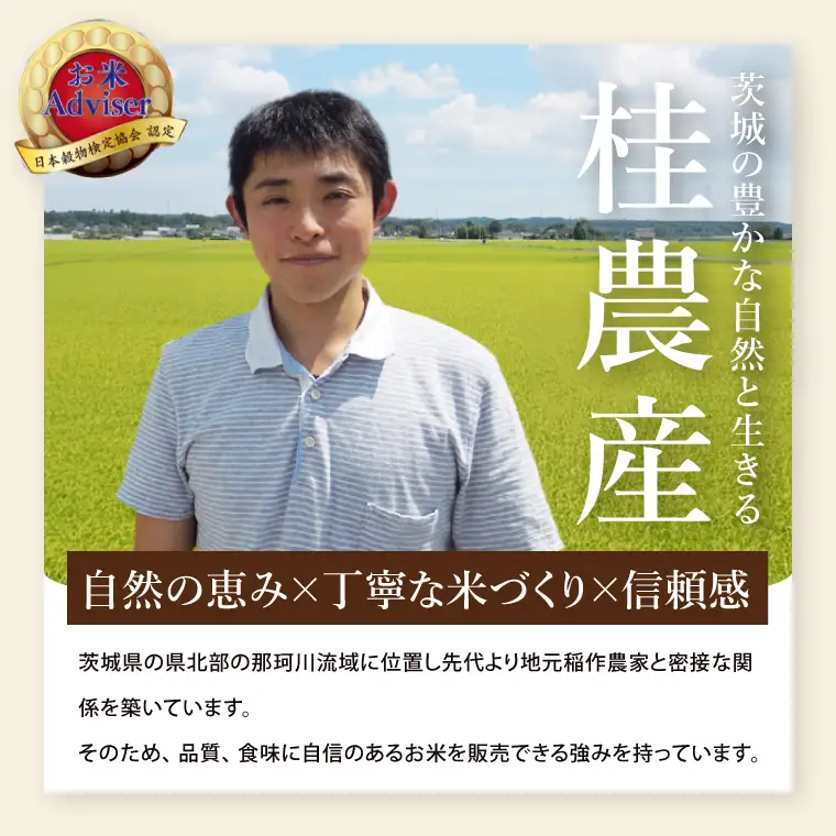 【数量限定】【令和7年産】茨城県産こしひかり 10kg×1袋（茨城県共通返礼品/城里町）【お米 ごはん コシヒカリ おいしい 白米 茨城県産 水戸市】（IH-123）