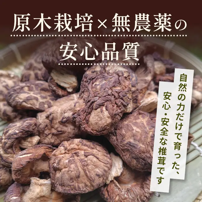 無農薬 原木栽培 肉厚 とよくに清流 ほししいたけ 80ｇ しいたけ 椎茸 シイタケ 原木椎茸 野菜 きのこ 無農薬栽培 干ししいたけ 乾燥しいたけ 干し椎茸 バーベキュー お試し 煮物 ネコポス -244