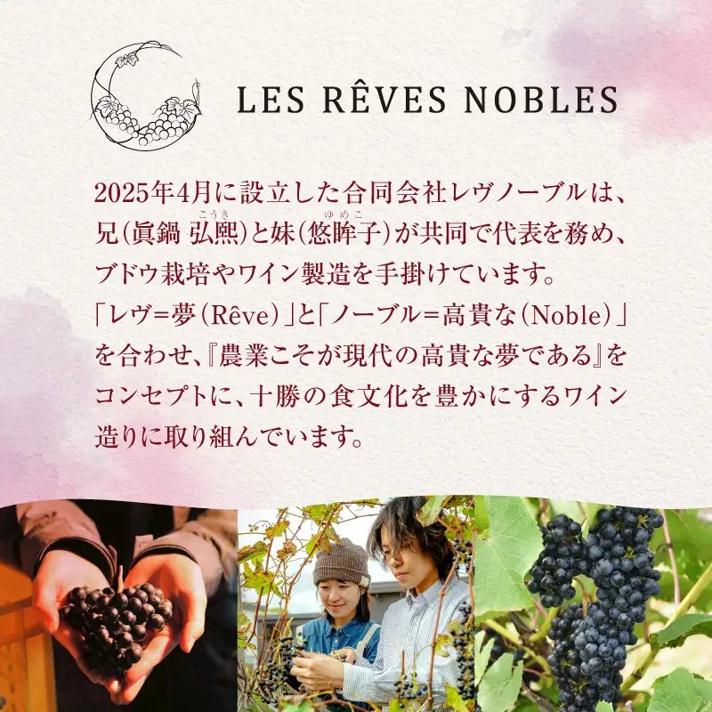 lesrevesnobles レヴノーブル 十勝産赤ワイン 十勝産 赤ワイン レヴノーブル 十勝清水町 山幸×清舞ブレンド 無農薬ぶどう赤ワインS046-0001