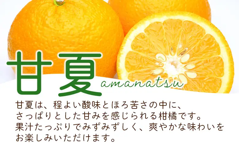 ＜愛媛県西予市産 さわやか柑橘セット 合計約3kg＞『5月～6月中旬頃迄に順次出荷予定』甘夏 河内晩柑 あまなつ ばんかん 果物 フルーツ みかん ミカン 蜜柑 食べ比べ 詰合せ 甘酸っぱい かんきつ 柑橘 特産品 夕焼け山農園 愛媛県 西予市 【常温】AYN0013