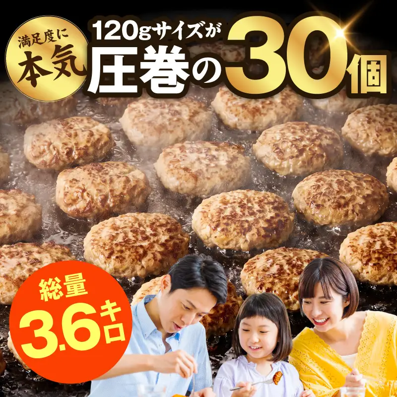 【ふるなびWEEK対象】肉の泉佐野 ハンバーグ 30個（合計3.6kg）｜ハンバーグ 訳あり 黒毛和牛×なにわポーク FN-Limited-WE