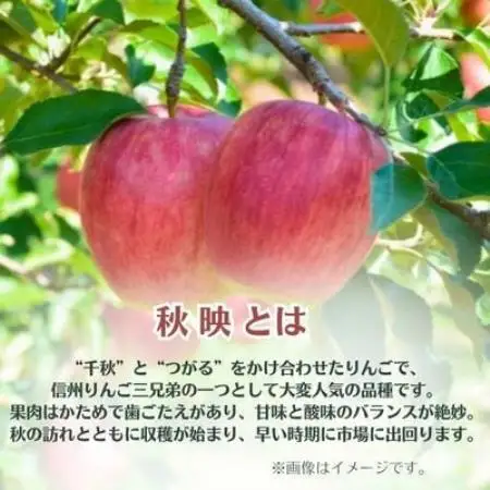 りんご 秋映 約5kg 家庭用【1738020】