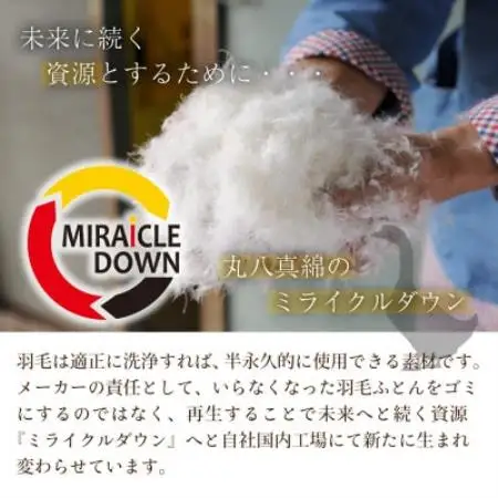 羽毛掛け布団 セミダブル 170×210cm 0.25kg リサイクル羽毛 75% アイボリー 無地【1739820】