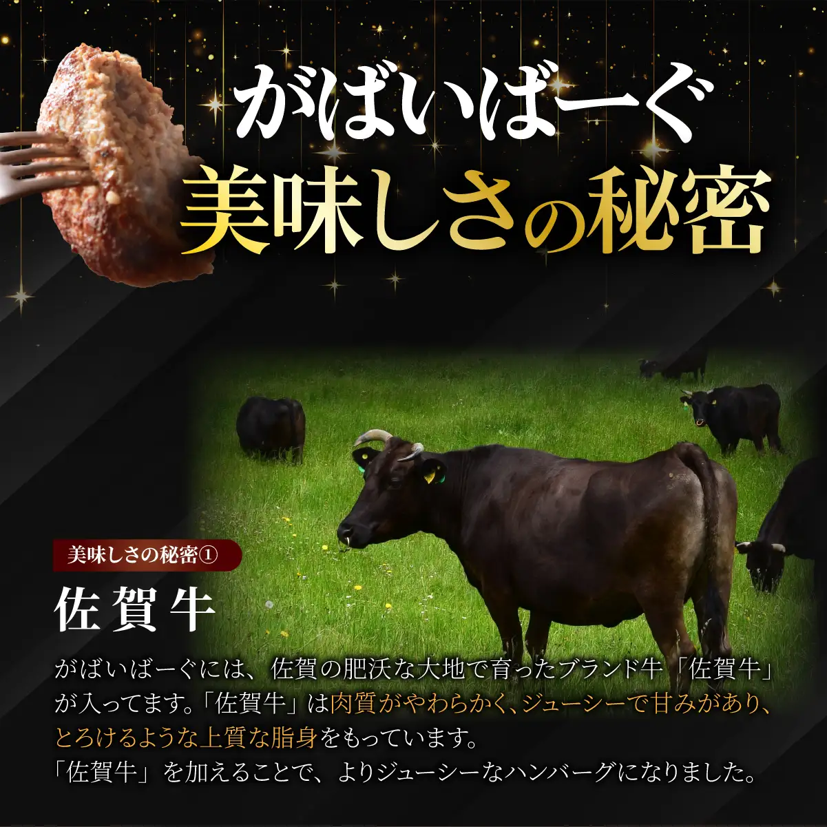 老舗55年【佐賀牛入】黒毛和牛ハンバーグ がばいばーぐ 12個（1.8K）【焼くだけ】 B-1086