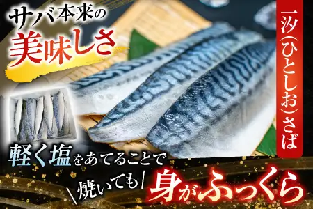 一汐さば半身6枚×3P A-11095