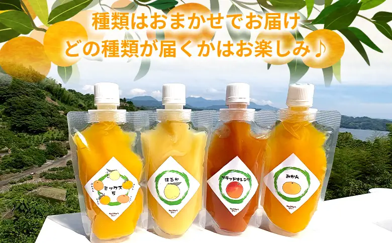 ＜つるんと食感の飲む柑橘ゼリー 1個＞『1か月以内に順次発送予定』果物ゼリー くだもの ゼリー パウチ みかん 蜜柑 デザート スイーツ おやつ のむ ストレート 果汁 100％ 食感 ぷるぷる お楽しみ 渡江から一歩を踏み出す会 愛媛県 西予市 【常温】ATI0055