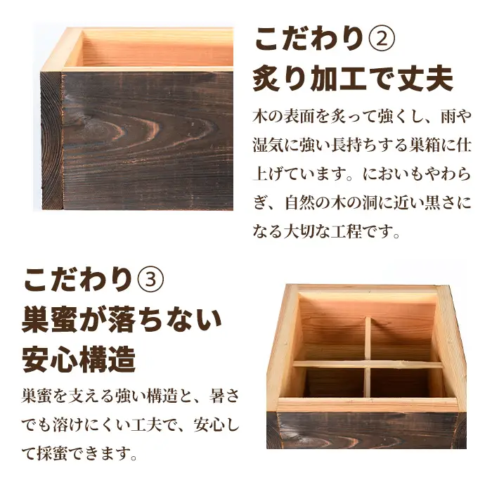 【D98001】日本ミツバチ用 巣箱一式 飼育箱 完成品 ボックス 箱 杉材 木箱 日本 ミツバチ 飼育 巣箱 蜂 蜂蜜 ハチミツ 養蜂 日本みつばち 木工品 観察 組立品 自然 国産 重箱 低箱 底板 巣門 天板 すのこ 【きもつき農園】