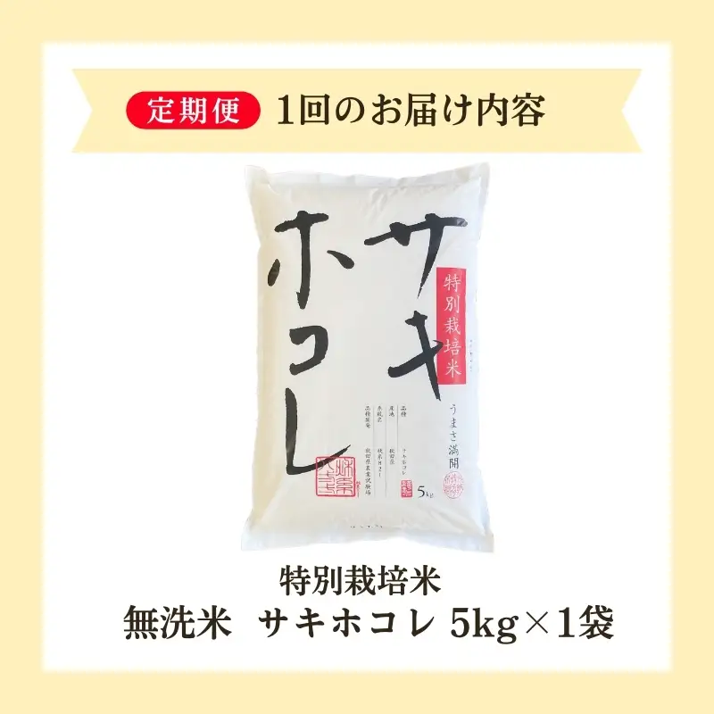 【新米予約】定期便7か月 サキホコレ 無洗米 5kg サキホコレ