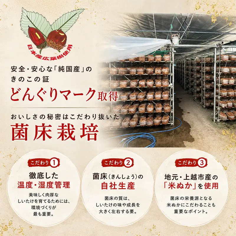 【先行予約】生しいたけ Lサイズ 約500g 秋山農場 しいたけ