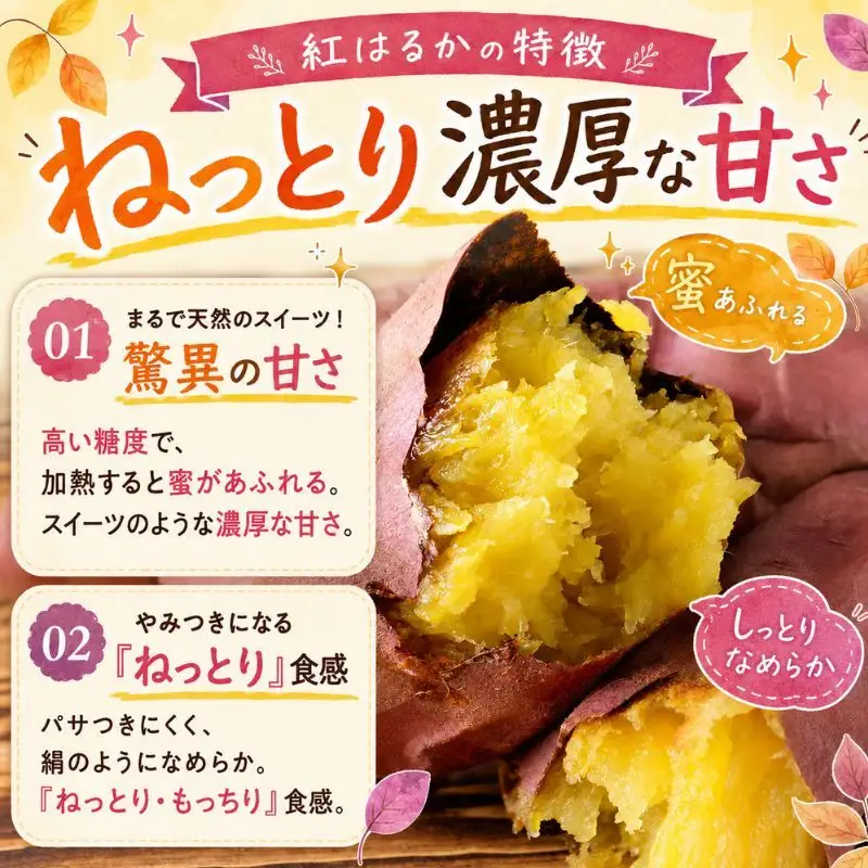 【先行予約】紅はるか さつまいも 約2kg 秋山農場 さつまいも