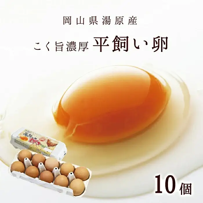 旬の野菜セット 岡山県真庭市 ふるさとお節介ギフト【夏】旬の野菜セット 【jujy091-01】