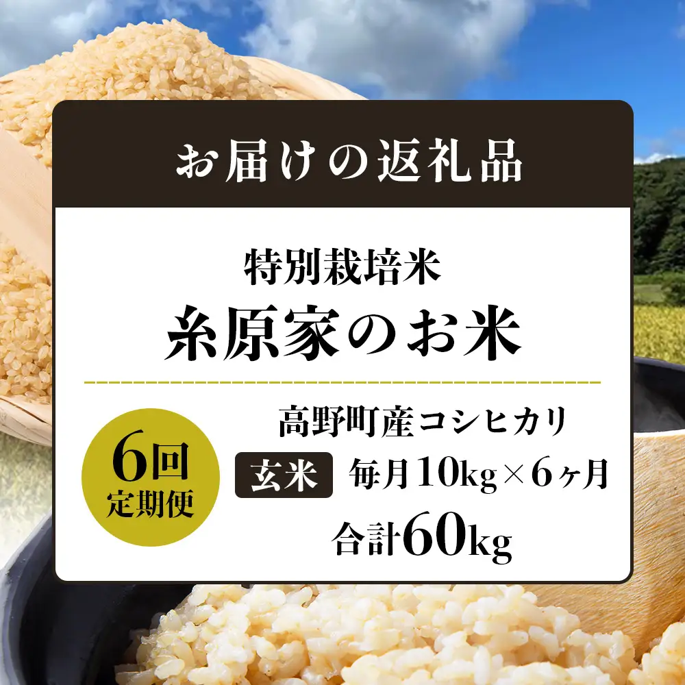 （玄米）【定期便 全6回】特別栽培米「糸原家のお米」高野町産 コシヒカリ 10キロ(5キロ×2袋) | 10kg×6回 合計60kg 6ヶ月 6ヵ月 6か月