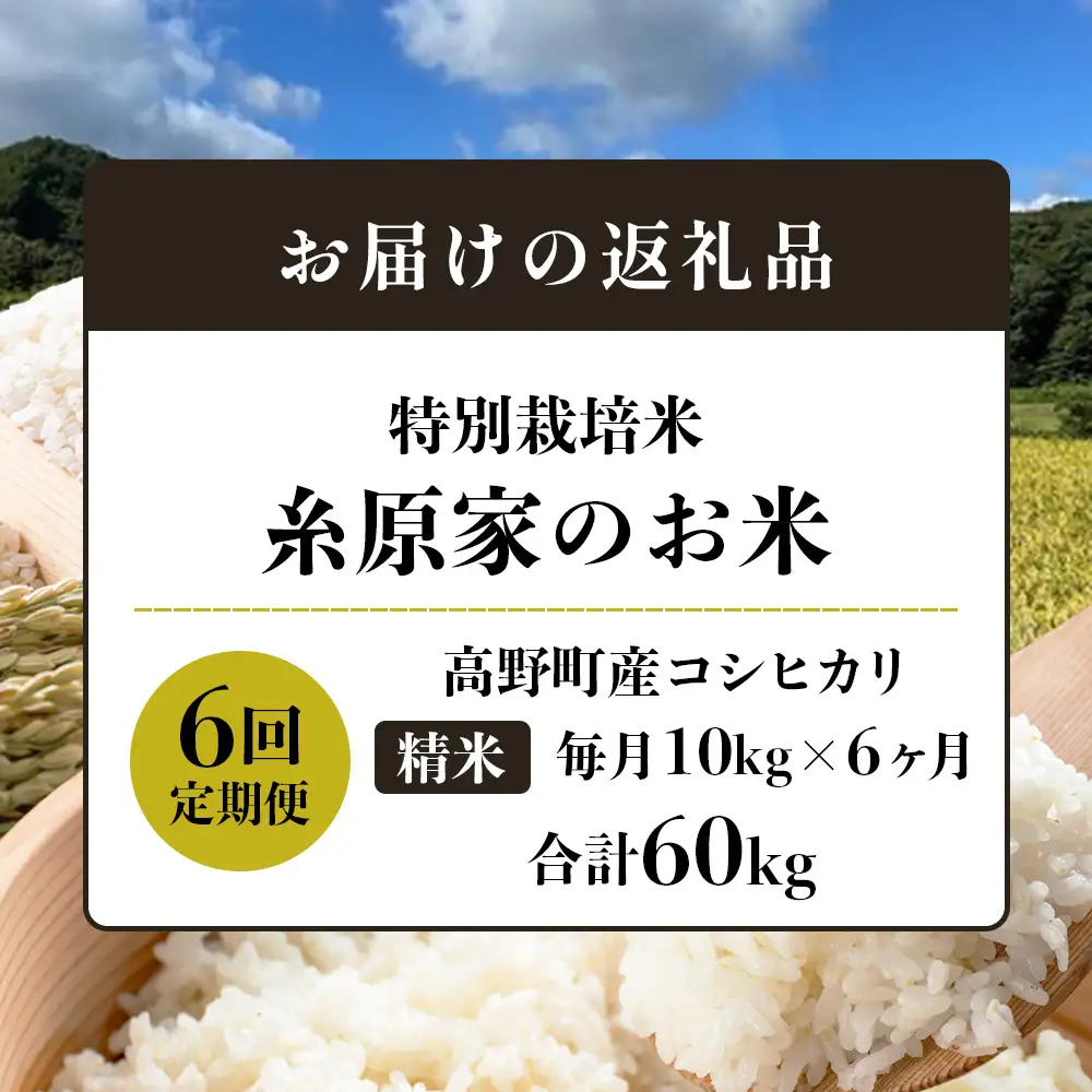 【定期便 全6回】特別栽培米「糸原家のお米」高野町産 コシヒカリ 10キロ(5キロ×2袋) | 10kg×6回 合計60kg 6ヶ月 6ヵ月 6か月 精米 白米 お米