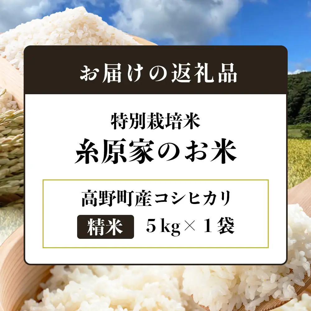 特別栽培米「糸原家のお米」高野町産コシヒカリ 5キロ （精米） | 5kg 白米 お米